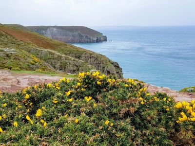 Le Cap Fréhel